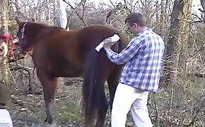 fucking beastiality scenes, zoophil fucks mare