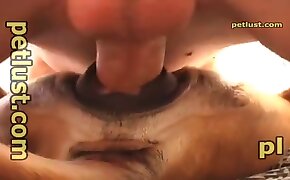 sex with dog porn, human fucks with animal